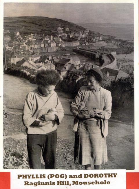 © Mousehole Wild Bird Hospital