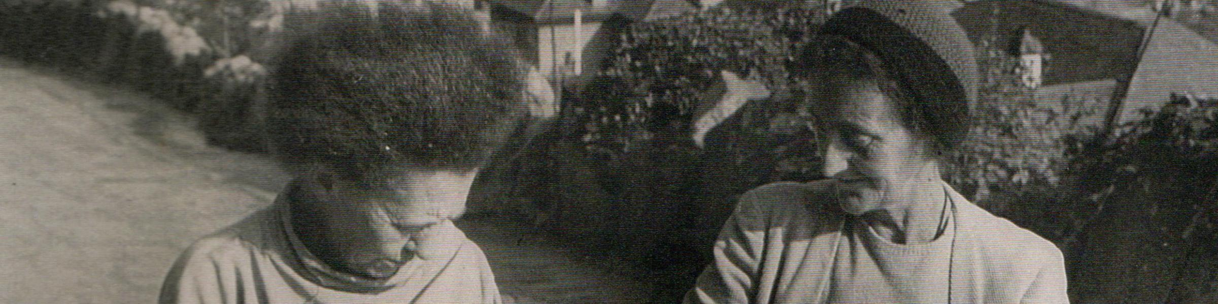 Mousehole Wild Bird Hospital Heritage Project Poster 1